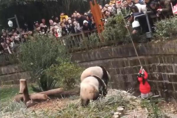 应征入伍防空炮怎么造
