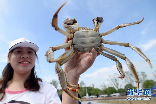 觅长生结元婴需要什么准备
